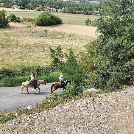 Oda ve Kahvaltı Le Terme